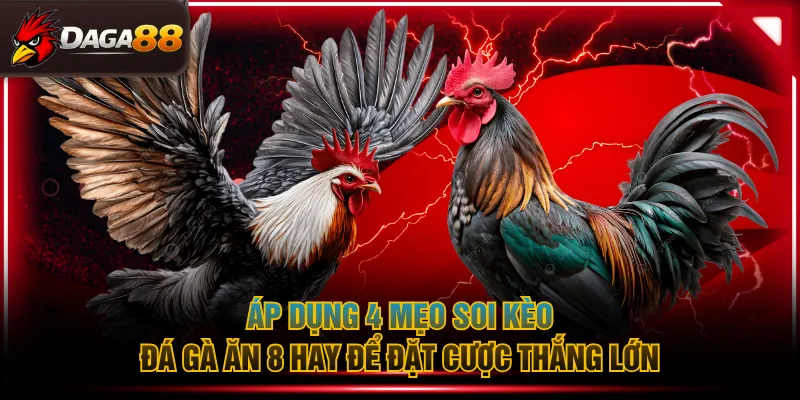 Áp dụng 4 mẹo soi kèo đá gà ăn 8 hay để đặt cược thắng lớn