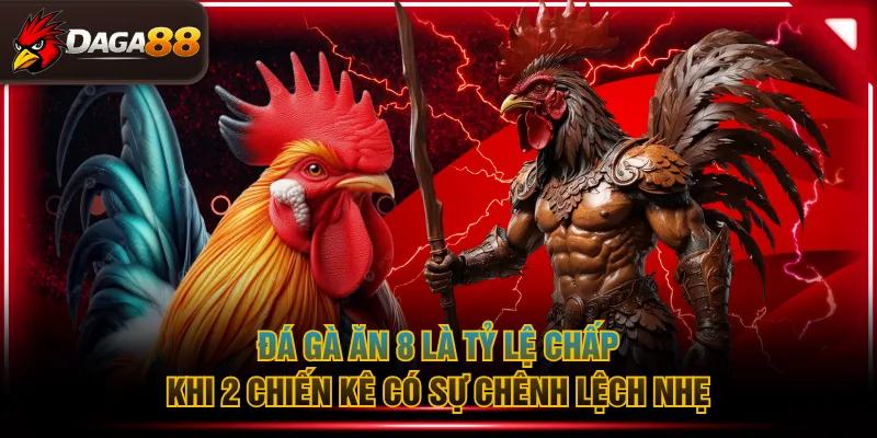 Đá gà ăn 8 là tỷ lệ chấp khi 2 chiến kê có sự chênh lệch nhẹ