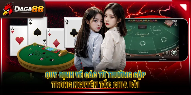 Quy định về các từ thường gặp trong nguyên tắc chia bài