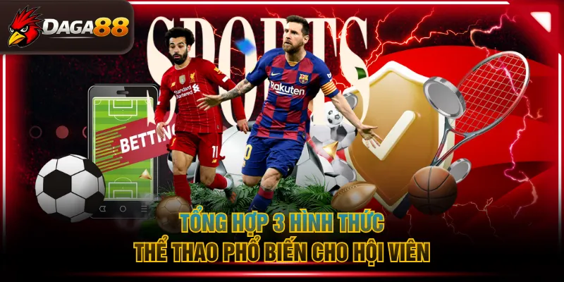 Tổng hợp 3 hình thức Thể Thao phổ biến cho hội viên